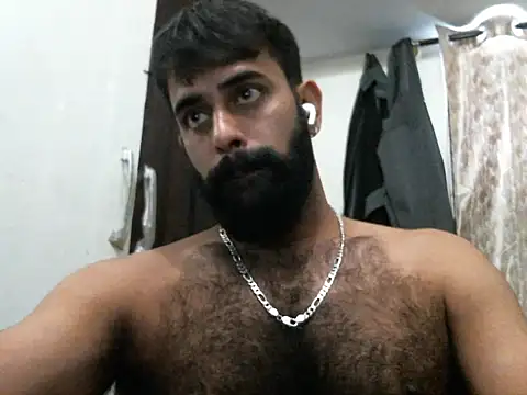 indianhairybull webcam