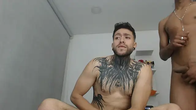 _tatho_perovich_ webcam