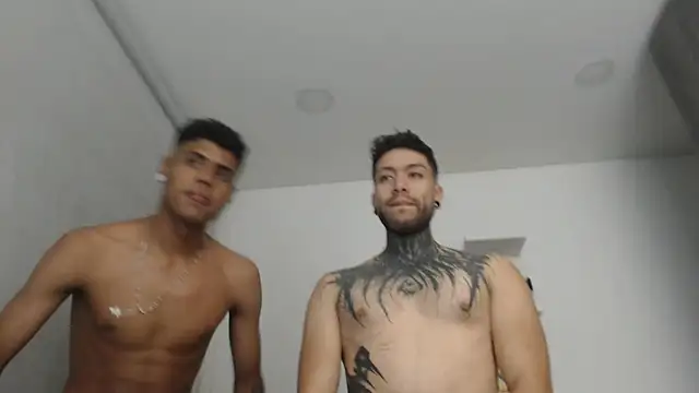 _tatho_perovich_ webcam