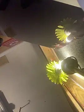 Polaroid_White webcam