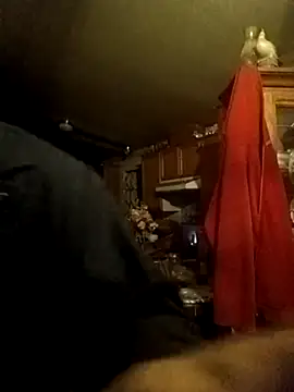 Cutieguyspanks webcam