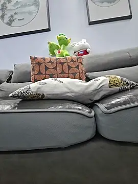 micai_fengbei webcam