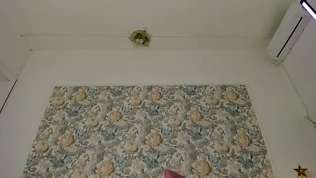 illegal_lorry webcam