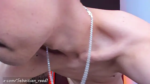 Sebastian_Reed webcam