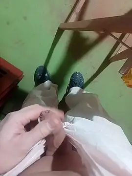 GeilerSchweizer webcam