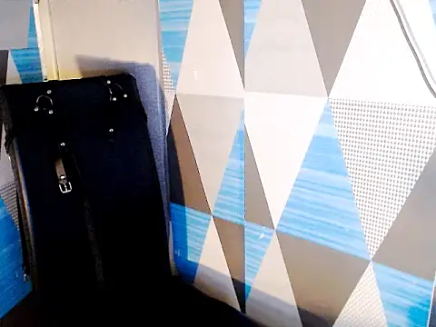 Savannah_Cock webcam