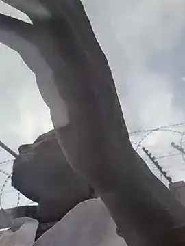 Lets-Collaborate webcam