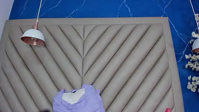 Ibbie_drastic webcam