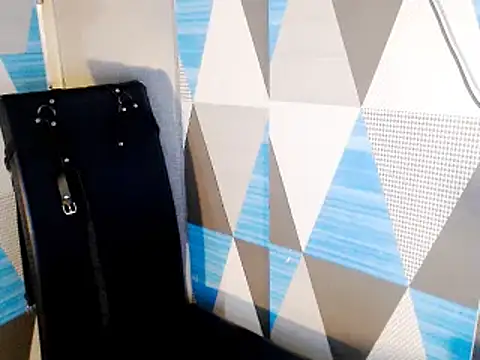 Savannah_Cock webcam