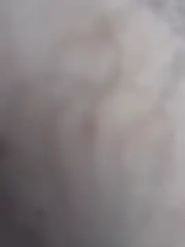 bigdickturk11 (Ask my age) - Cum