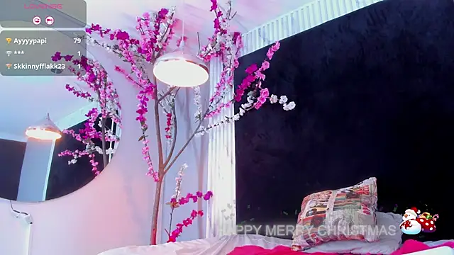 arya_alaya_cr webcam