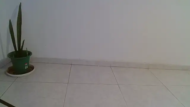 scarlet160920 webcam