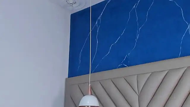 Ibbie_drastic webcam