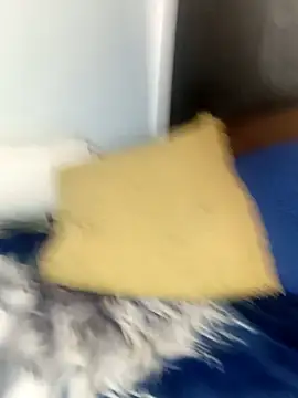 misterioso258 webcam