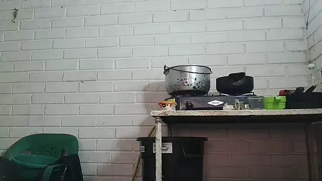 valeriaswang_Lucas webcam