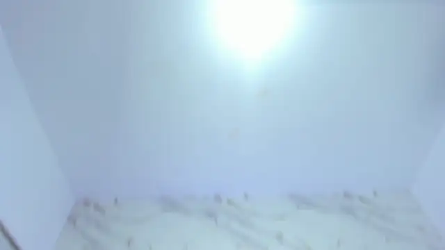 _Emma_whiitee_ webcam