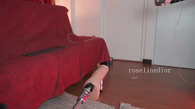 Preview of roselinedior