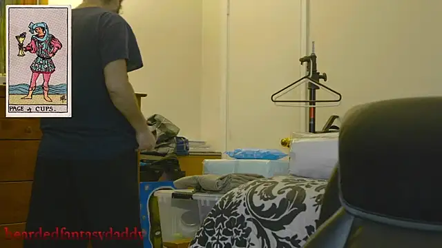 The_Page_Of_Cups_ webcam