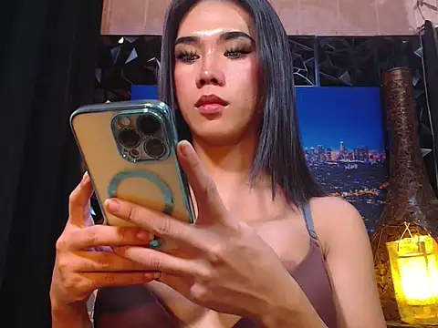 TRANSPORNIDOL webcam