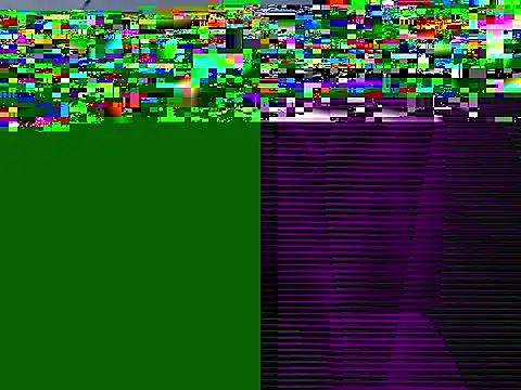 Fernandar2025 webcam