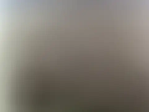 Prettyvsmonster webcam