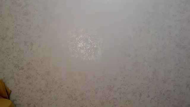 catch_fortune webcam