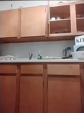 ReallyReallyReal webcam