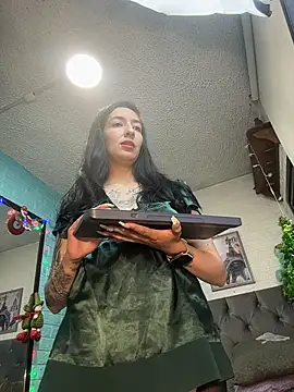 SALOME_KORLAND webcam