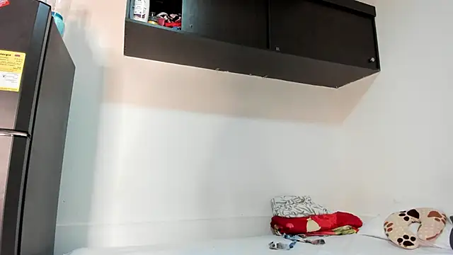 _ashleymiller webcam