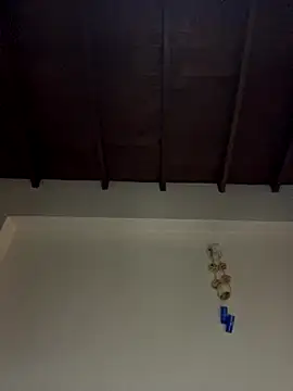 Paulina-Wells webcam