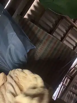 lylyox9 - LylyOx9's free webcam - UK Sex Cams