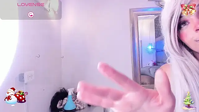 Palmer-Foster webcam