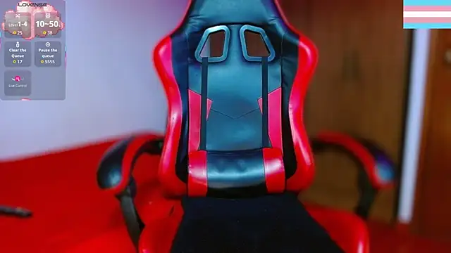 Hgp3riodictabl3 webcam