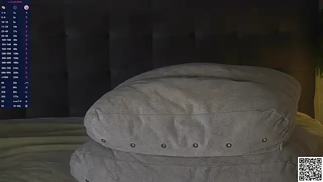 BarbaraViggiani webcam