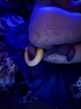 Professor_Leo_ webcam