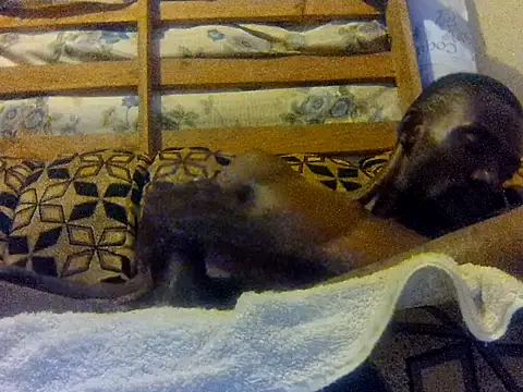 LookingLover34 webcam