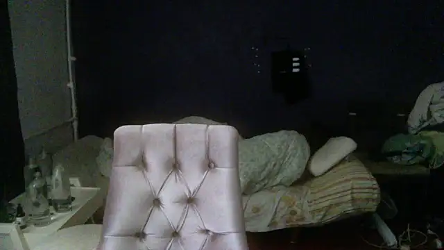 turkishTransEfsun webcam