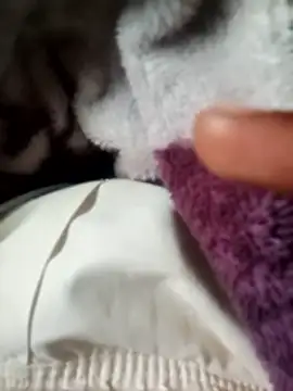 NoFaceBlackSnake69 webcam