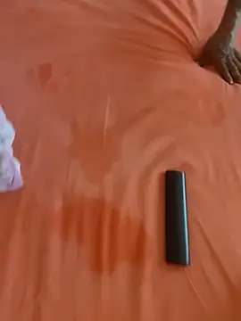 StallionGuru_co webcam