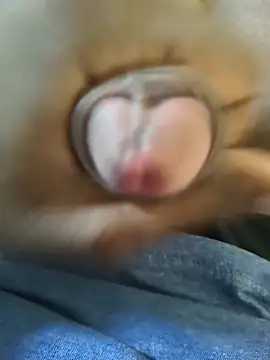 Telugu_HardModda webcam