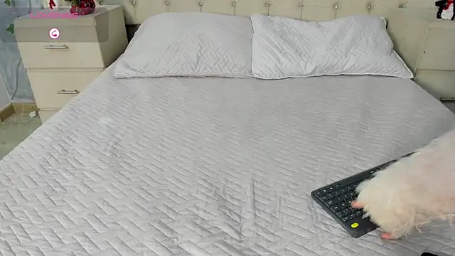 AlaskaFlowerss_ webcam