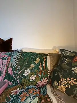 Vanillezucker webcam