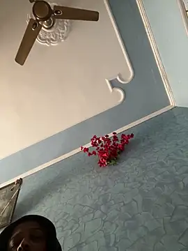 Dick_6inches_Delhi webcam