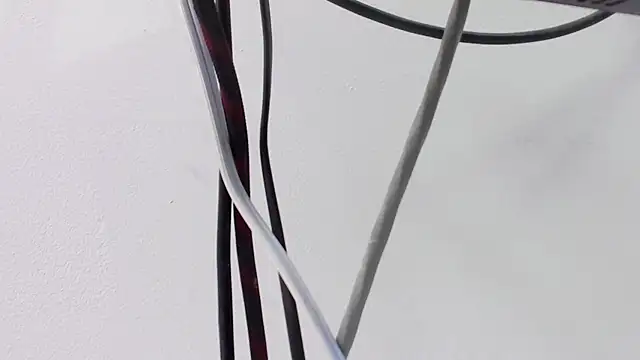 abigail_smith15 webcam