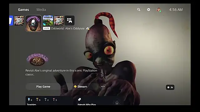 DizenedCollard webcam