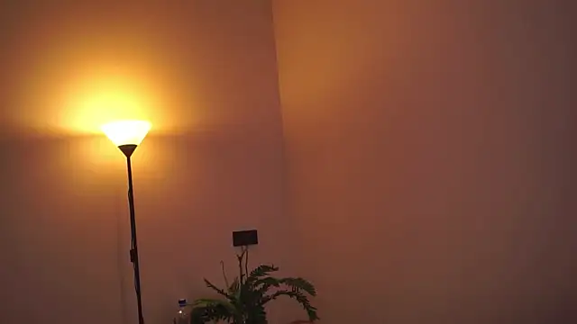 DonaPelligrino webcam