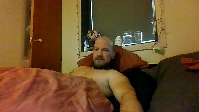 Real_viking webcam