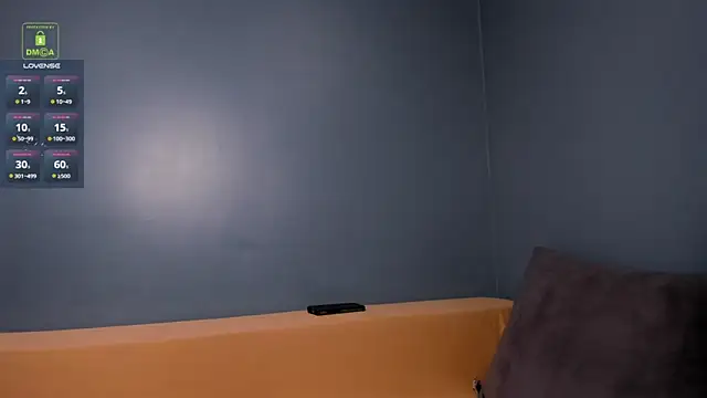 BrandonNorris webcam