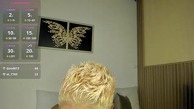 summer_night_ webcam