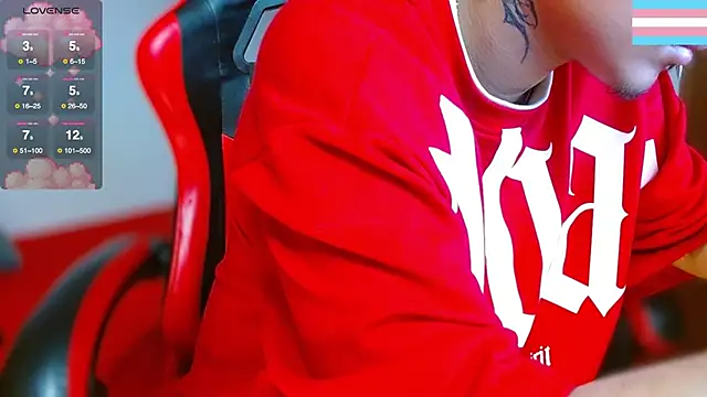 Hgp3riodictabl3 webcam